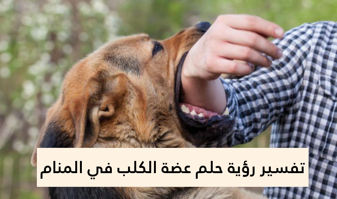 تفسير رؤية حلم عضة الكلب في المنام لابن سيرين بالتفصيل
