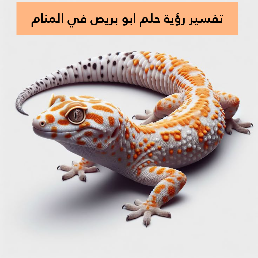 تفسير رؤية حلم ابو بريص في المنام